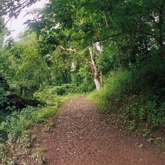 Big South Fork country